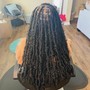 Small traditional starter locs