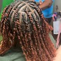 Extended locs: passion twist mid back-lower back  $210