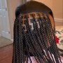 Kid's box or knotless braids