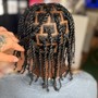 2 Strand Twist(Full Head, Low Taper fade)