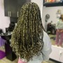 Senegalese Twist/Passion Twists