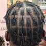 Starter Locs