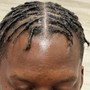 Starter Locs