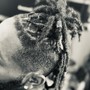 Dreadlocks