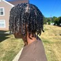 Mini Braid Twists