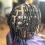 Mini Twists