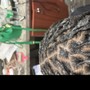 Loc Re-twist