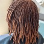 Starter Locs