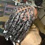 Comb Twist or 2 strands twist