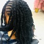 Senegalese twists over locs