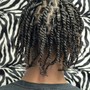 Loc Retwist &amp; Style (Shampoo included)