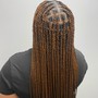 Large box’s Braids mid back