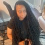 Crochet Braids Box Braids,Faux Locs,Twists