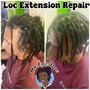 Starter Locs