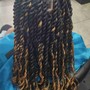 Senegalese Twist ( Starting Price  )