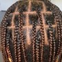 Large Box Braids(knot)