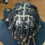 Starter locs