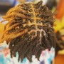 Natural Twists