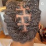 Individual Braids