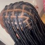 Braids (kids/adults)