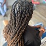 2 braids (hair added)