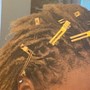 Starter Locs