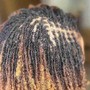 Starter Locs