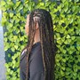 Tree Braids