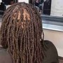 Starter locs