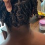 Starter Locs