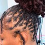 Starter Locs