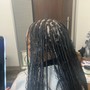 Medium Bohemian Box Braids (Curly not hair included)