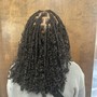 Shampoo and Two Strand Twist