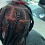 Starter Locs