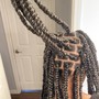 Medium Box Braids