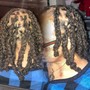 Starter Locs