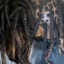 Locs Retwist + Plats or Two Strand Twist