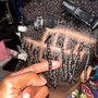 Starter Locs- Two Strand Twist