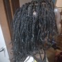 Medium Senegalese Twist