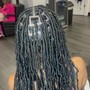 Starter Locs