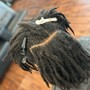 Loc Extensions (Small)