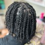 Twists/Braids/Comb Coils**