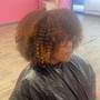 Root Touch Up