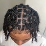 Starter locs