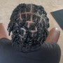 Natural Twists