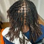 Starter Locs