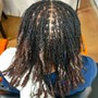 Starter Locs