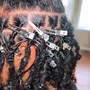 Loc retwist only