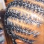 Feed-in braids ( hair included )