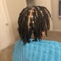 Starter locs